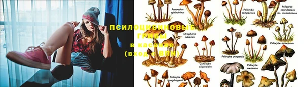 каннабис Баксан